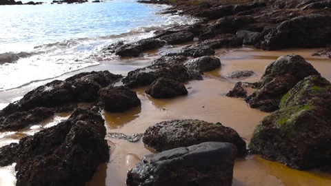 Gentle Atlantic Waves Rolling Over Shell Covered Rocks on Sunny Portuguese Beach Stock Footage 325975248