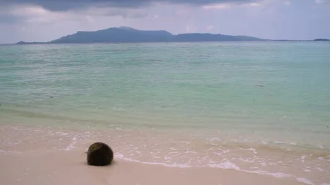 Gentle Beach Wave Loop at Menjangan Shore Stock-Footage 310984151