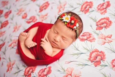 Gentle Beginnings Stock Photos