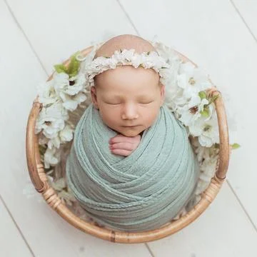 Gentle Beginnings Foto stock