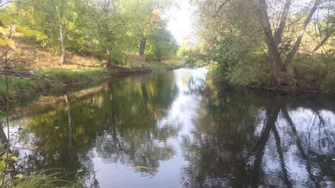Gentle Bend In Calm River Surrounded By Vibrant Green Foliage Stock Footage 348028510