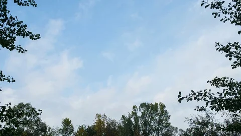 Gentle blue sky of fall Stock Footage 80873310