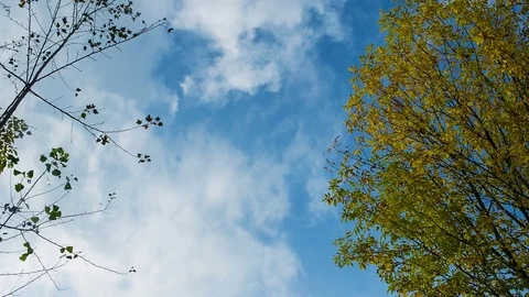 Gentle blue sky of fall, timelapse. Loop Stock Footage 80871951