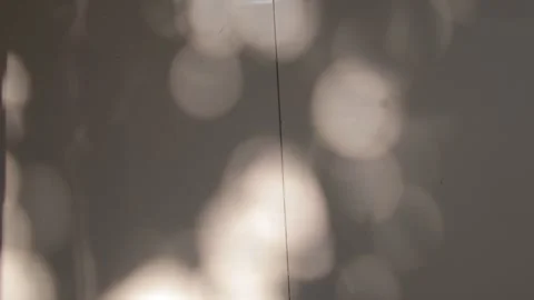 Gentle bokeh of tree leaves shadow on gray wall with natural light creates .. Stock Footage 325263836