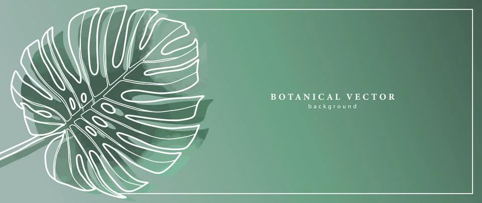 Gentle botanical green gradient vector background with big monstera leaf Stock Illustration