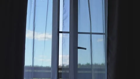 Gentle Breeze Dancing Through White Curtains on a Bright Summer Afternoon Stock Footage 345553285