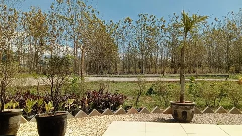 Gentle breezes moving Stock Footage 287094321