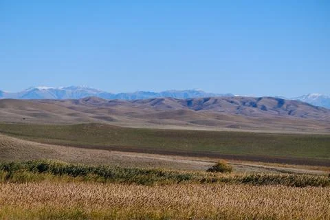 Gentle brown hills, patchwork fields and distant snow-capped peaks 스톡 사진