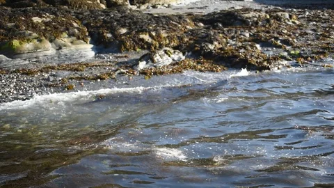 Gentle Coastal Waves on a stone beach Stock Footage 111891156