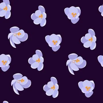 Gentle crocuses on a dark background. Seamless vector illustration. For イラスト素材