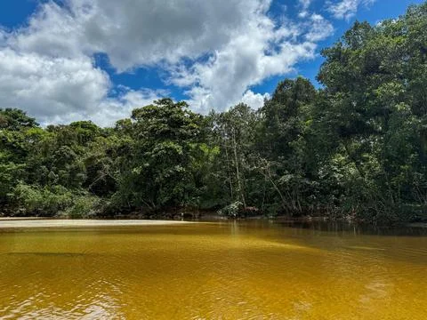 Gentle current under dark clouds. Stock Photos