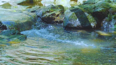 Gentle Currents: Nature's Quiet Symphony Stock Footage 282724124
