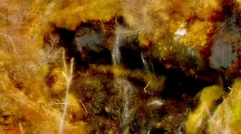 Gentle Fall Video stock 490341