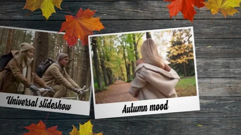 Gentle Fall Universal Slideshow for After Effect After Effects stock