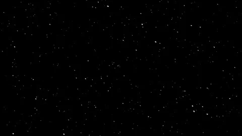 Gentle Falling Snow On Black Background For Elegant Christmas Design Stock Footage 313663135