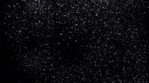 Gentle Falling Snow Stock Footage 160983322