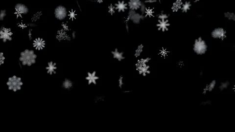 Gentle Falling Snowflakes on Black Background Winter Holiday Season 스톡 동영상 344690084