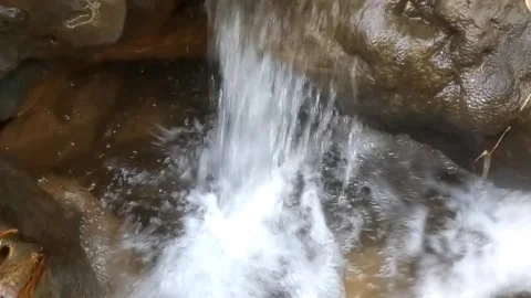 The Gentle Flow of a Hidden Waterfall Vídeos de archivo 334663287