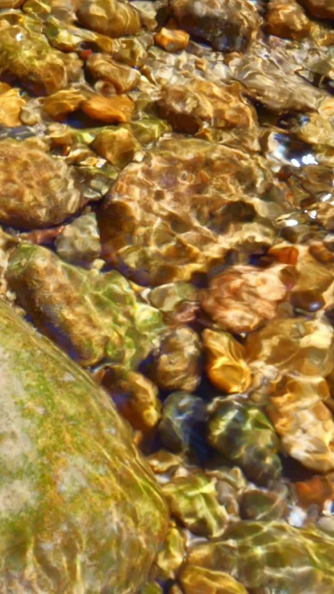 Gentle flow of mountain stream over rounded gravel and moss rocks in a tranqu Stock Footage 308306530