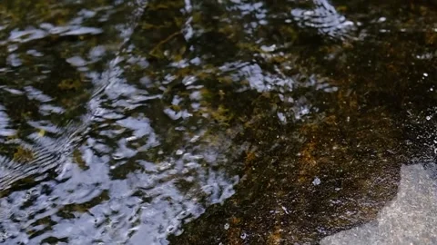 Gentle flowing stream current - Close up Slow motion Stock Footage 244181198