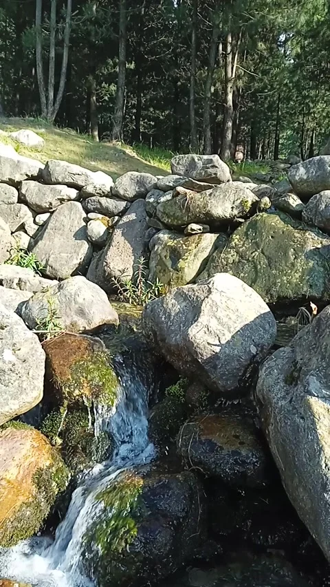 Gentle Forest Stream Flowing Over Mossy Rocks | Kashmir 4K Nature Stock Footage Stock Footage 338163516
