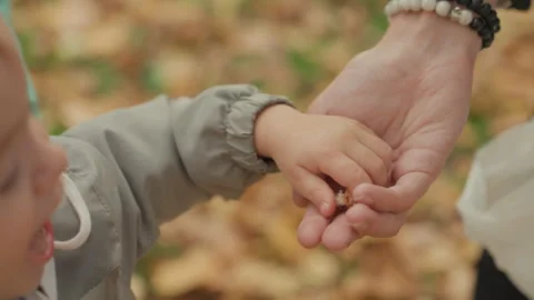 Gentle grasp amid fall leaves. Soft hold by adult fingers in seasonal setting Stock Footage 334620818