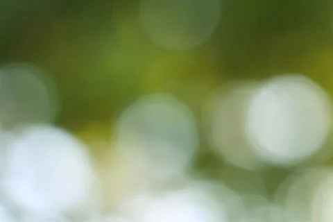 Gentle green bokeh light diffusion backdrop surface Stock Photos