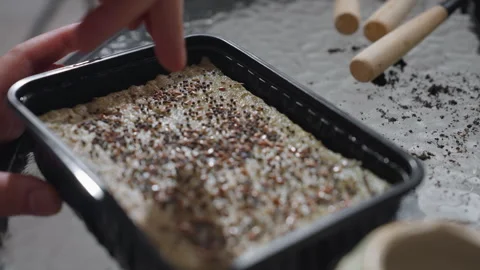 Gentle Hands Sowing Tiny Seeds Onto Moist Growing Medium Tray Stock Footage 309048746
