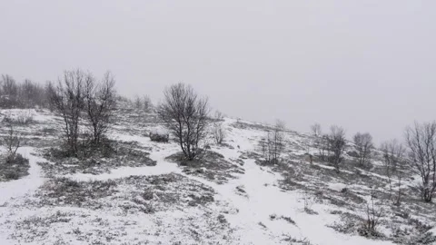 A gentle hillside with small black trees during heavy snowfall. Stock Footage 328810184