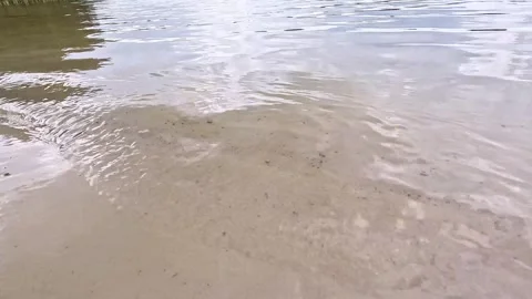 Gentle lake surface ripples with soft natural reflections Stock Footage 314758241