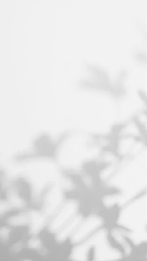Gentle leaf shadows move across white wall. Stock Footage 340464311