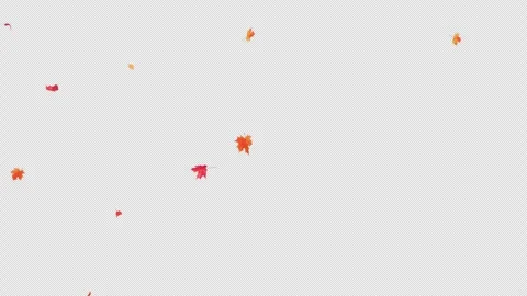 Gentle Maple Leaves Falling Alpha Clip Stock Footage 321929064