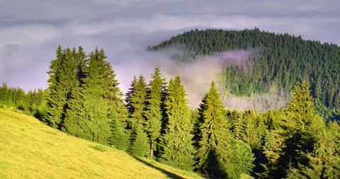 Gentle misty mountains  timelapse. Stock Footage 170759644