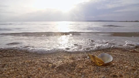 Gentle morning waves rolling onto a sandy beach with seashell Stock Footage 337417773