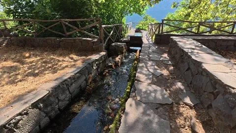 Gentle mountain stream flowing through Greek village square with trees Stock Footage 327311746
