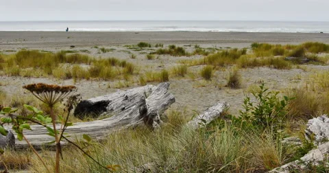 Gentle Ocean Breeze Stock Footage 45094573