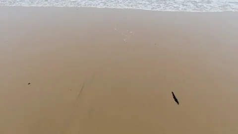Gentle Ocean Wave Patterns on Portuguese Sandy Beach Stock Footage 310732925