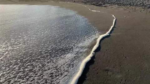 Gentle Ocean Wave Rolling on Sandy Beach in the Morning Light Stock Footage 274399845
