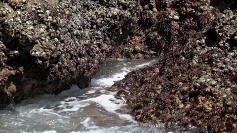 Gentle ocean waves in between the rocks Stock Footage 319805249