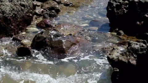 Gentle ocean waves in between the rocks Stock-Footage 319805252