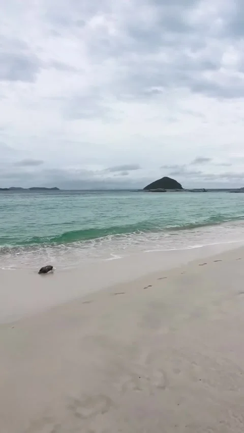 Gentle Ocean Waves Crashing on White Sand Beach With Island View Stock-Footage 342062736