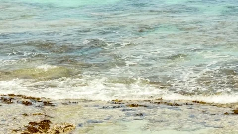 Gentle ocean waves flowing over shallow rock pool reef showing clumps of se.. Stock Footage 75395739