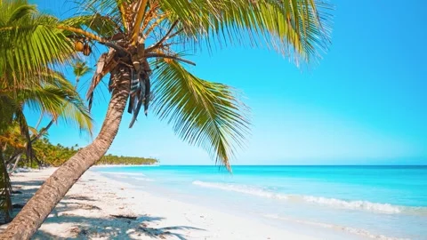 Gentle ocean waves at idyllic sandy natural tropical island with lush palm trees Stock Footage 299730799