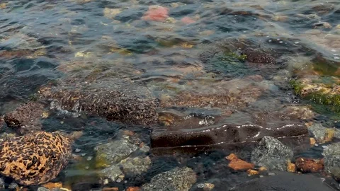 Gentle Ocean Waves Lap Against Rocks | Beautiful Clear Water Video stock 98615574
