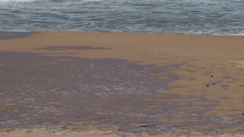 Gentle ocean waves receding on a sandy beach Stock Footage 340642467
