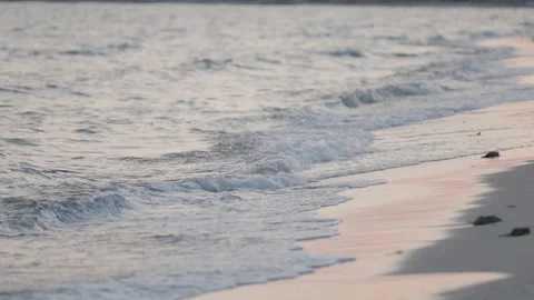 Gentle Ocean Waves Rolling Onto Sandy Beach at Sunset Video stock 332686489