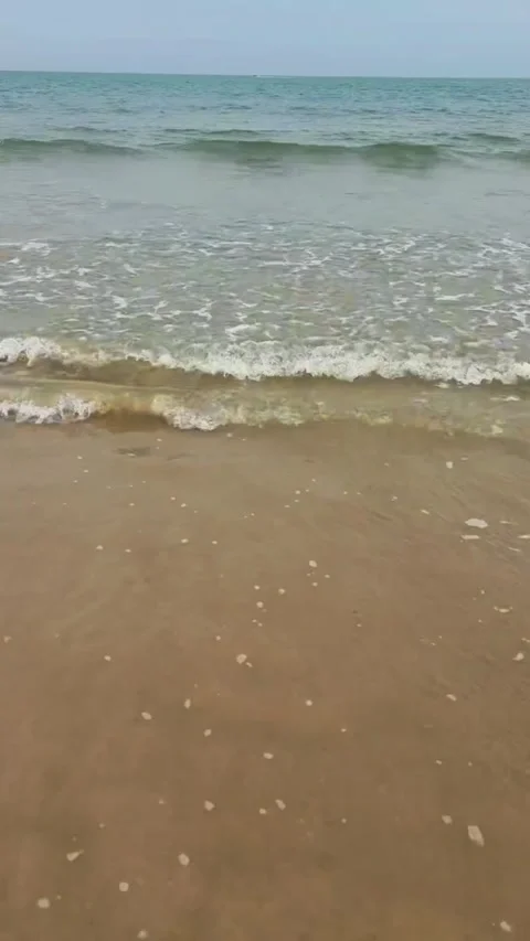 Gentle ocean waves rolling onto a sandy beach on a calm overcast day Vidéo 334083976