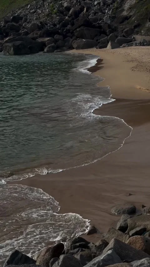 Gentle Ocean Waves on Sandy Beach 库存影片 341317578