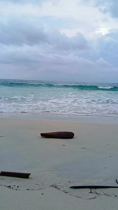 Gentle Ocean Waves Washing Over Beach Driftwood under Overcast Sky Vídeos de archivo 341516361