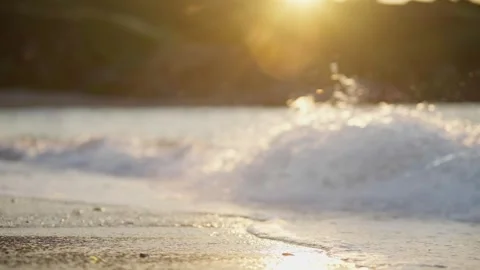 Gentle Ocean Waves Washing Sandy Beach at Sunset 4K Stock Footage 336464106